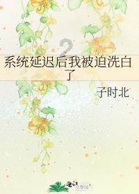【新时代“枫桥经验”】“排调防”三步化解民间借贷纠纷工作法